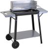 Merkloos Barbecue Rechthoekig 49x32 Cm online kopen